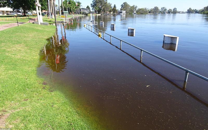 Close-up shot of chicken sizzling in a Karahi, surrounded by a rich, red gravy, with steam rising.