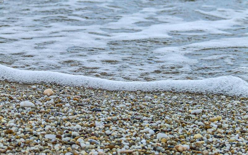 Interior of a trendy cafe in Lahore, showing cozy seating, stylish decor, and soft lighting