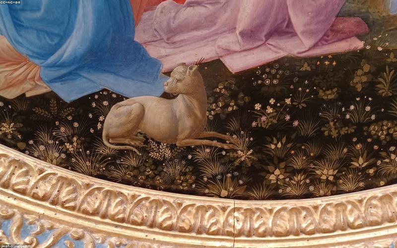 Infographic showing various fast charging speeds and battery life icons