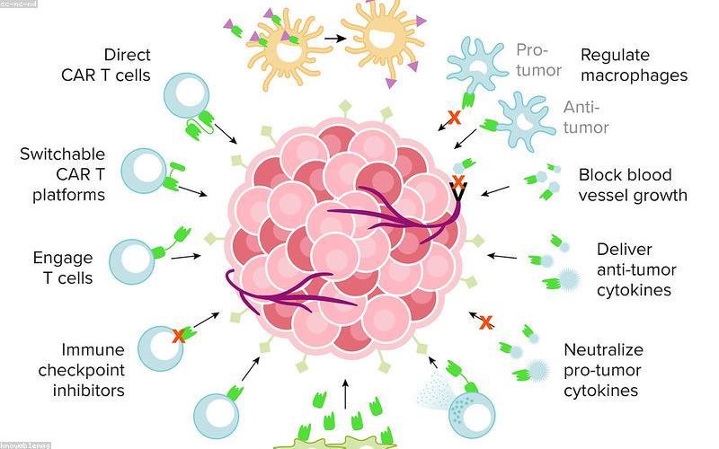 Close-up of a smartphone screen displaying a popular mobile game with high-quality graphics