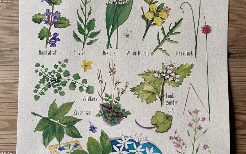 A vibrant flat lay of all fresh Biryani ingredients: mutton, basmati rice, onions, tomatoes, yogurt, whole spices, green chilies, herbs.