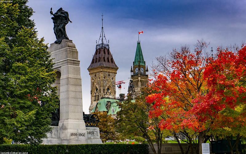Close-up of naan bread or chapati being dipped into the rich Karahi gravy.