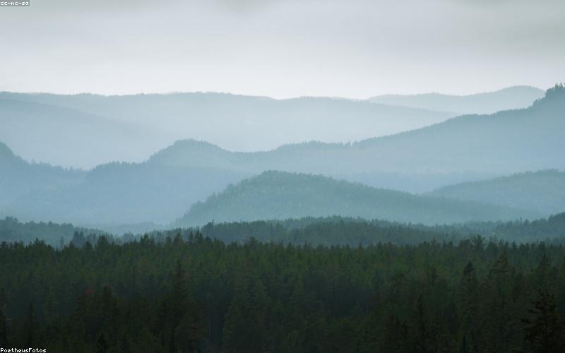 A person wearing light, loose clothing and a wide-brimmed hat, walking under a tree
