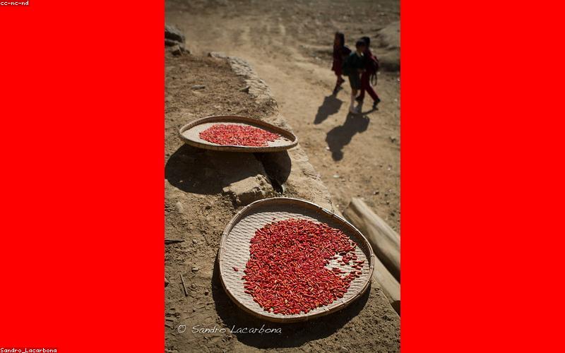 A vibrant, sizzling Chicken Karahi in a black karahi bowl, garnished with julienned ginger and fresh green chilies.