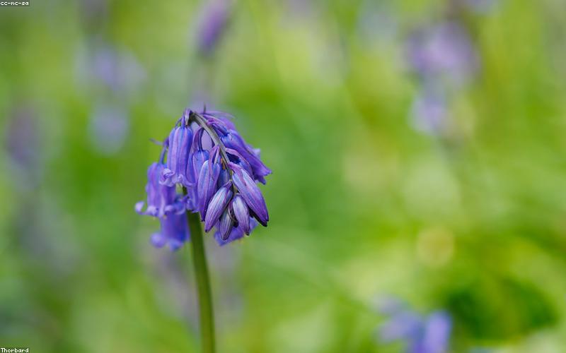 A close-up shot of a modern smartphone