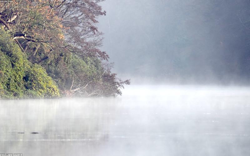 Close-up of different types of chai being brewed in traditional Pakistani kettles (pateli) on a small burner, steam rising.