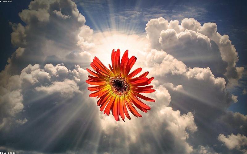 People engrossed in their smartphones, possibly checking news or social media, with Pakistani landmarks in the background.