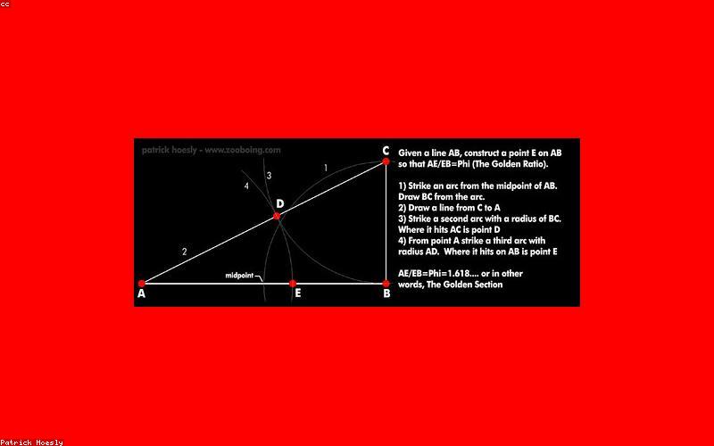 A vibrant, mouth-watering flat lay of all fresh Biryani ingredients laid out aesthetically