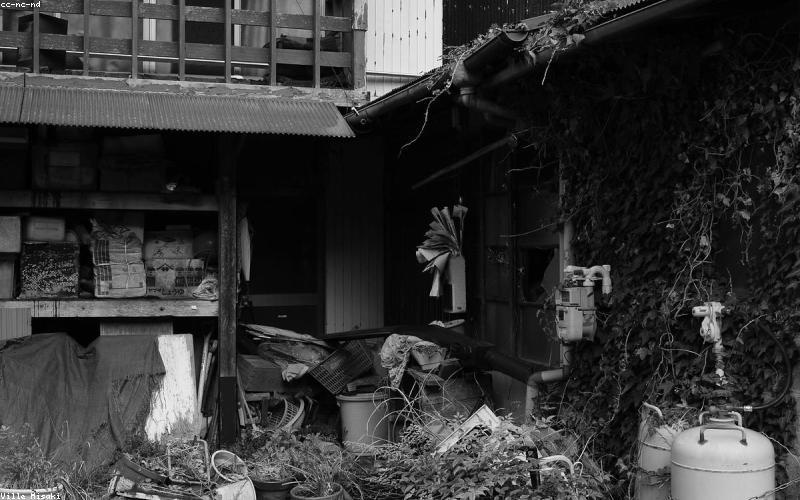A close-up shot of the chicken curry simmering beautifully in a large pot
