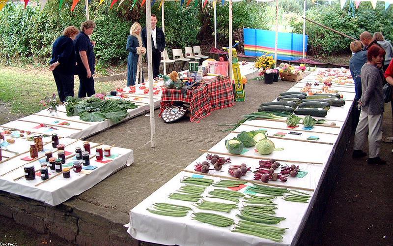 Vibrant close-up of gourmet gol gappay served in shot glasses with different chutneys.