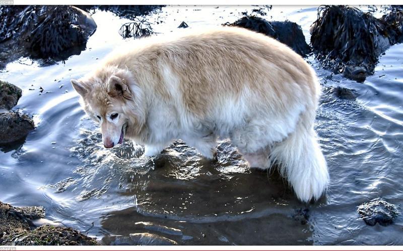 Interior shot of a modern cafe or food truck specializing in gourmet street food, showing customers enjoying.