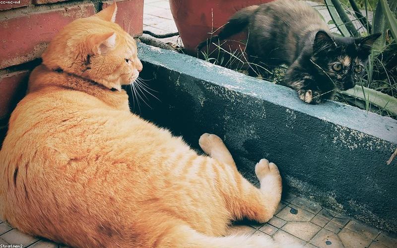 A family sitting together, enjoying a peaceful and healthy Iftar meal, smiling and chatting. 