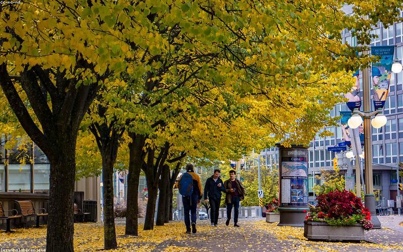 Chicken Karahi simmering perfectly in a traditional black wok (karahi), bubbling with thick, rich red gravy