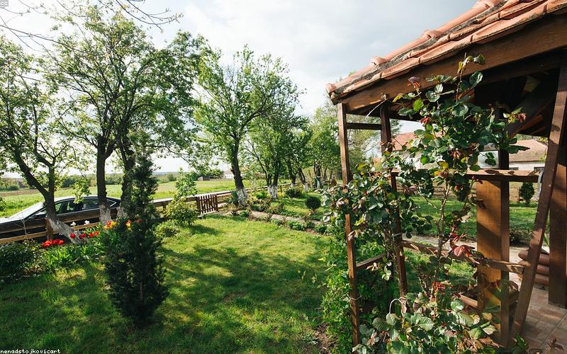 A sleek electric scooter with a small solar panel integrated into its design, parked in a sunny outdoor setting.