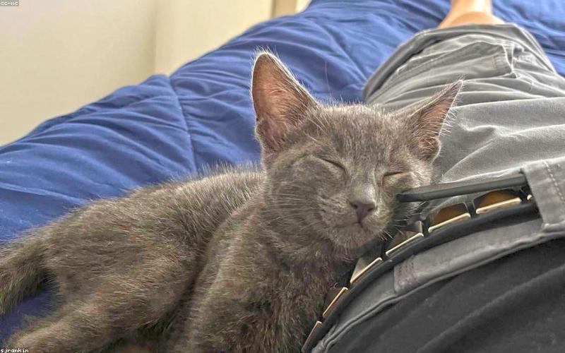 A person peacefully sleeping under a light blanket with a fan or AC in the background, conveying comfort and rest.