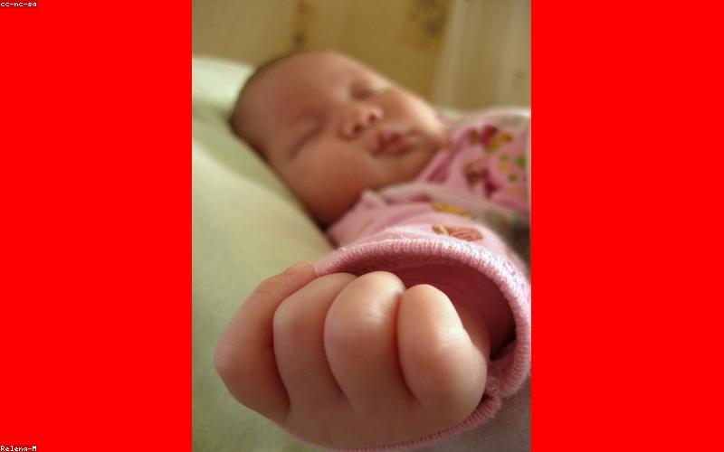 A table spread with a rich Chicken Handi, fresh naan bread, a bowl of raita, and a small salad, ready to be enjoyed by a family.