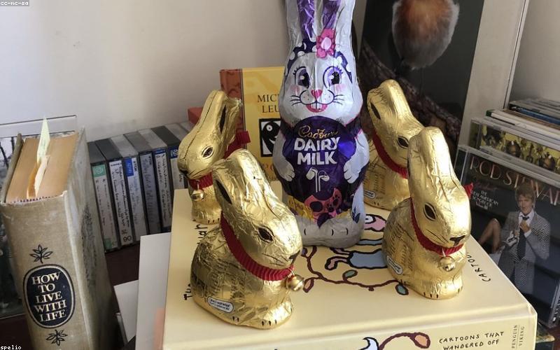An overhead shot of a group of friends laughing and sharing food and chai at a beautifully set table in 