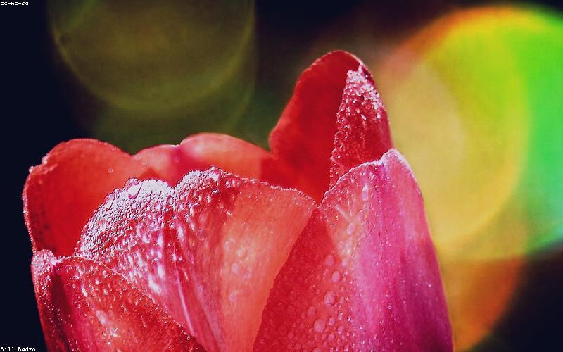 People shopping joyfully in a decorated market for Eid, contrasted with a hazy, hot cityscape in the background