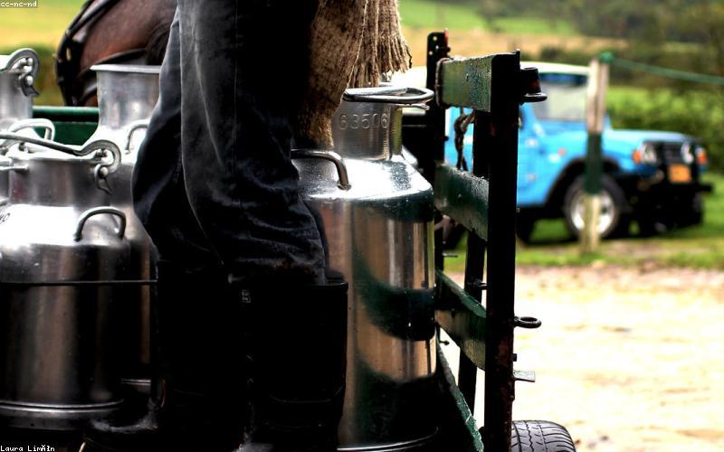 A vibrant spread of healthy Suhoor items like scrambled eggs, whole-wheat paratha, yogurt, fresh cut fruits, and a glass of milk.