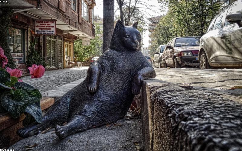 Close-up of a hand holding a sleek, modern smartphone, showing a vibrant screen.