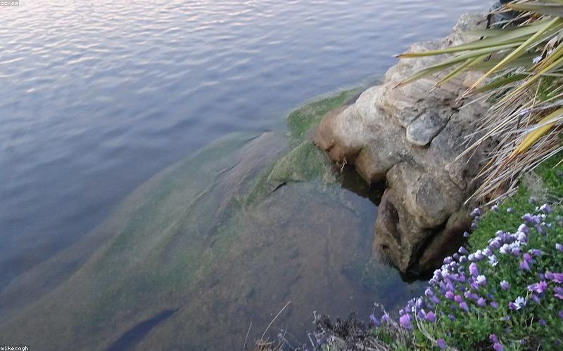 Chicken sizzling in a traditional black karahi pan, steam rising, rich red gravy visible