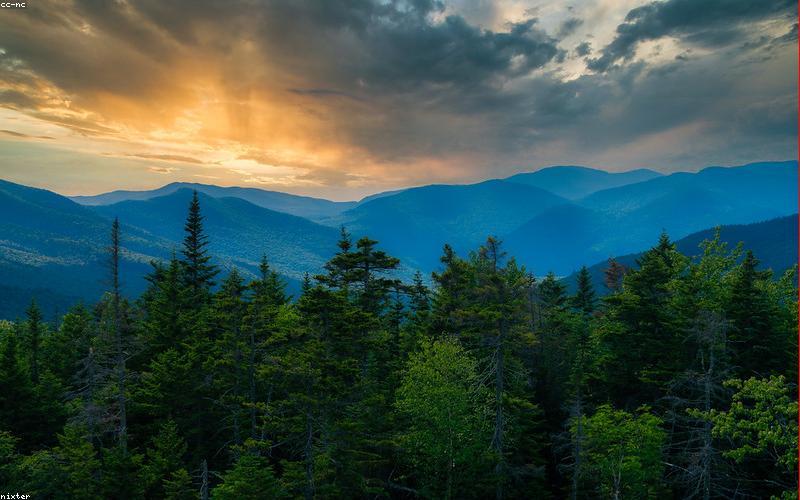 Piping hot Chicken Karahi garnished with bright green chilies, fresh coriander, and slivers of ginger, served in a traditional karahi dish with naan or roti in the background