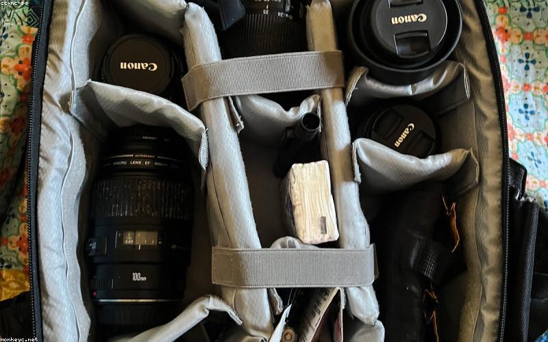 A person hiking with a stylish solar-powered backpack, showing a smartphone connected and charging from the pack.