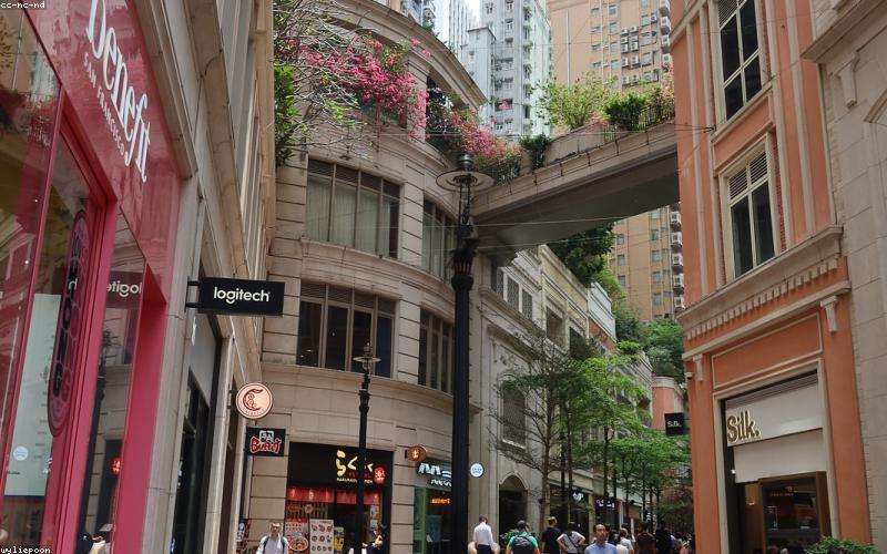 Close-up of a plate of gourmet loaded fries or a unique paratha with chai.