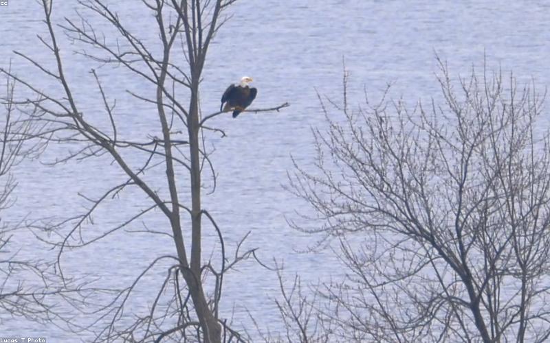 A diverse range of lithium batteries for home, solar, and mobile use.