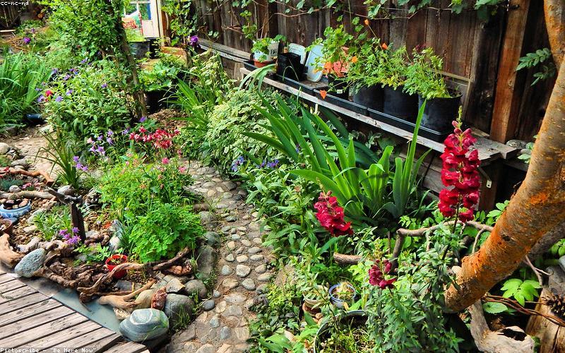 A photo of neighbours in Faisalabad helping each other build a raised bed for rooftop gardening.