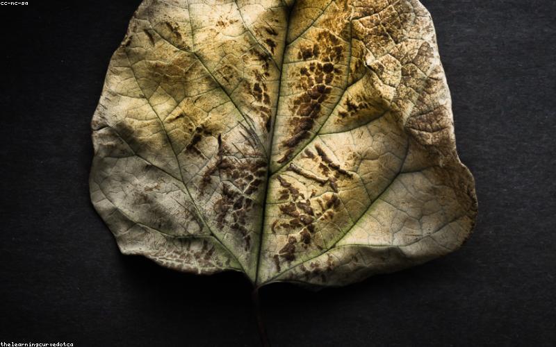 Photo of various solar panels installed on a rooftop in Pakistan. Focus on the panels and the Pakistani flag subtly in the background.