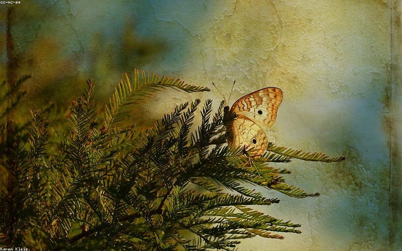 A factory producing lithium batteries in Pakistan (hypothetical)